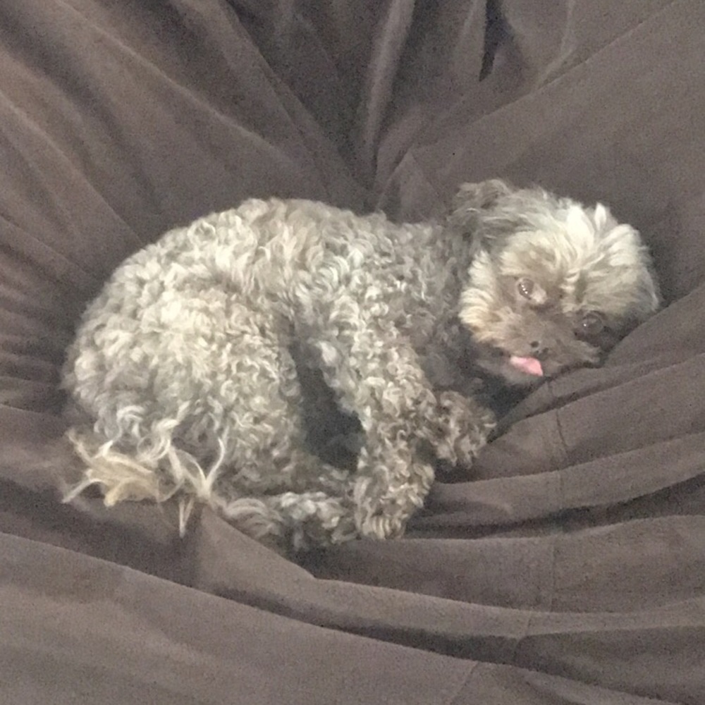 Meet your Posher, Miranda